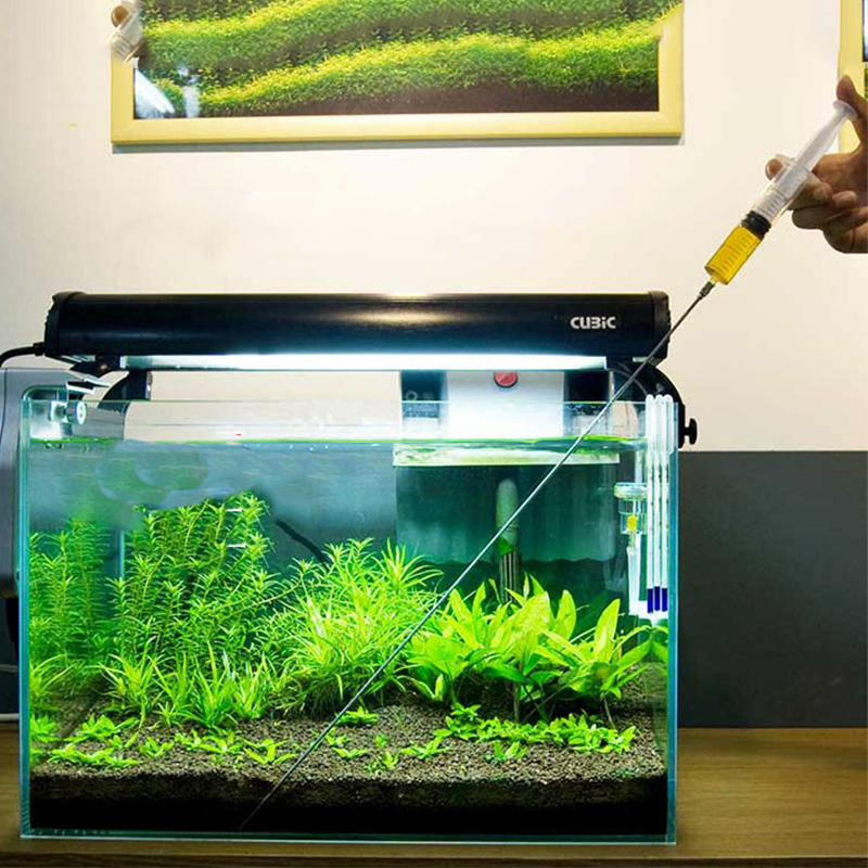 Aquarium Plant Growth - 30Cm 50Cm Bể Cá Thực Vật