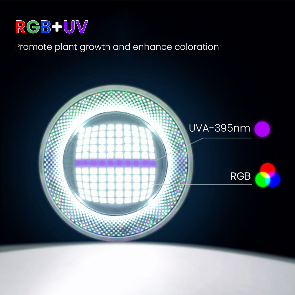 Full Spectrum Bluetooth 3.0 Ap - đánh giá và giá Aquarium Plant