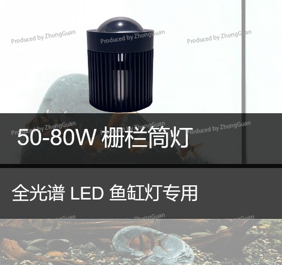 Led Downlight Moss Plant Grow  - đánh giá và giá Aquarium Planted Wood