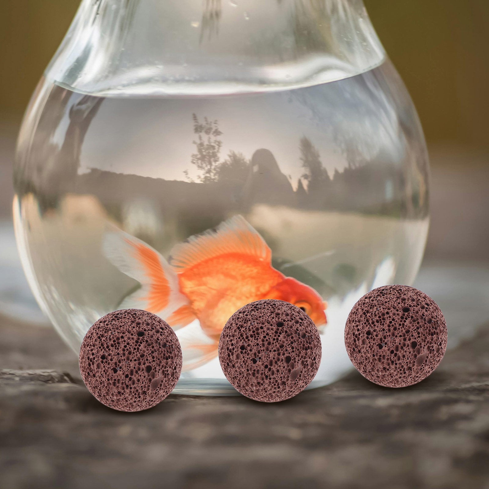 5Pcs Porous Volcanic Rock Lava - đánh giá và giá Aquarium Planted Tank Soil