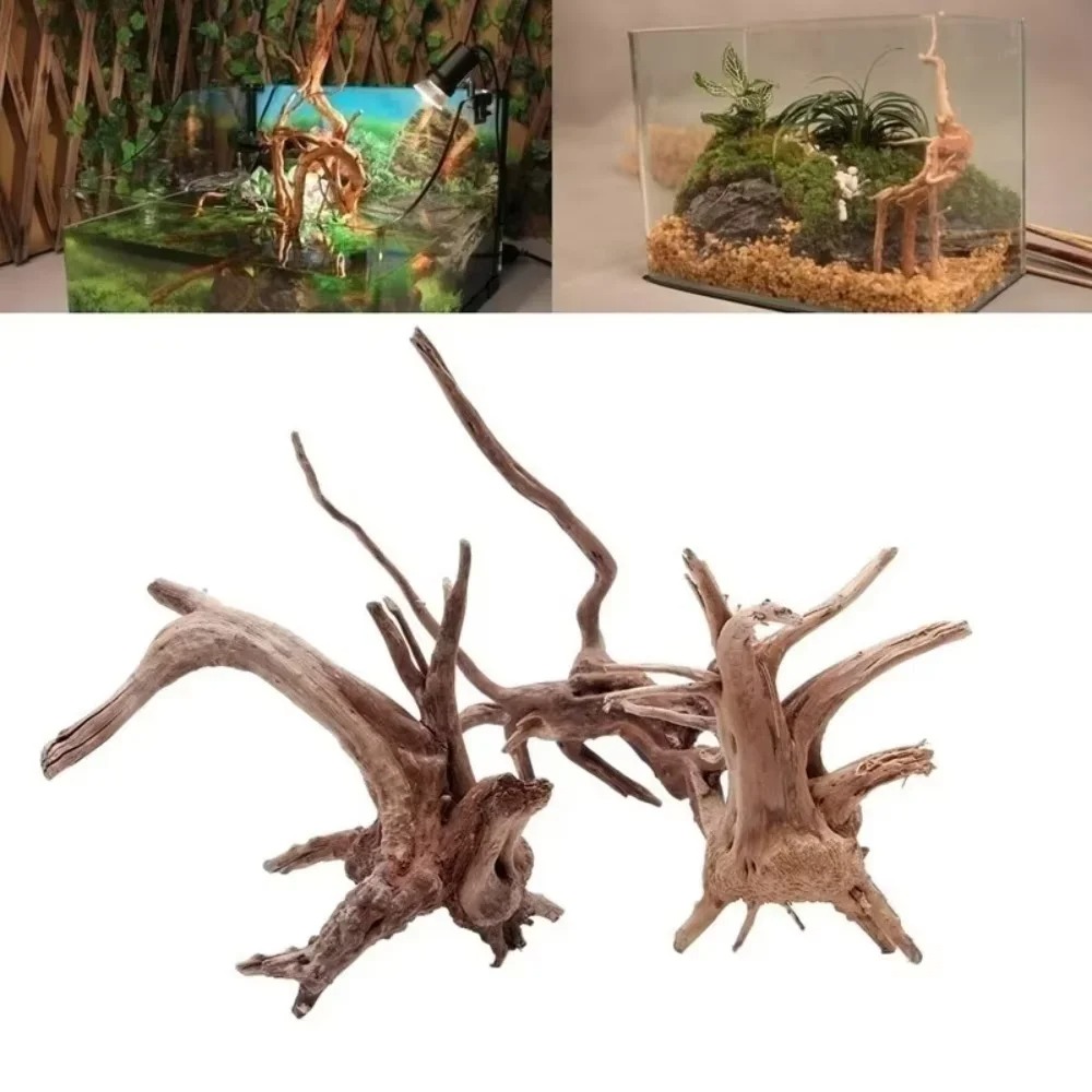 15-20CM Natural Driftwood Aqua - đánh giá và giá Aquarium Planted Wood