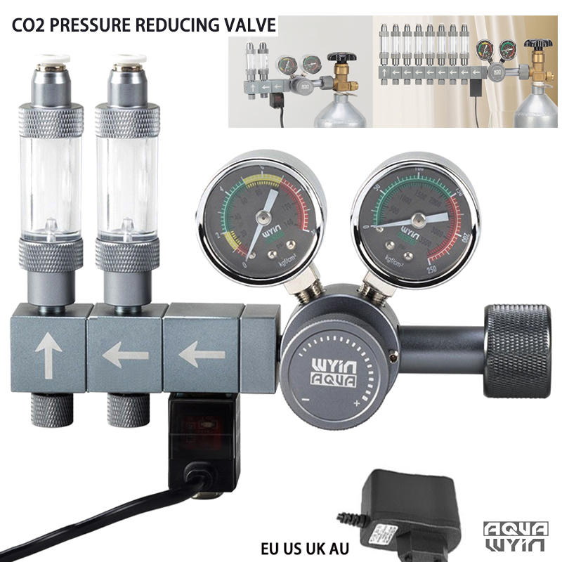 Aquarium DIY CO2 Regulator Dua - đánh giá và giá Co2 Regulator Dual Stage