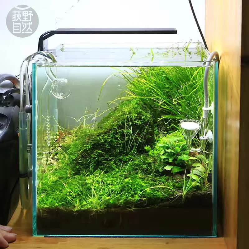 Chihiros C Series ADA Style Pl - đánh giá và giá Aquarium Plant Growth