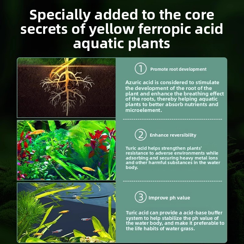 Aquarium Plant Fertilizer - Co - đánh giá và giá Planted Aquarium Carpet Plant