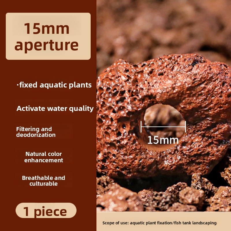 Red Lava Rock Planting Ring –  - đánh giá và giá Planted Aquarium Carpet Plant