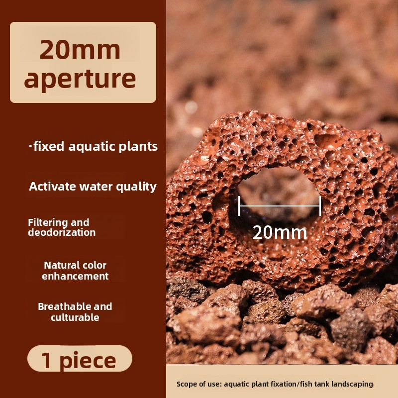 Red Lava Rock Planting Ring –  - đánh giá và giá Planted Aquarium Carpet Plant
