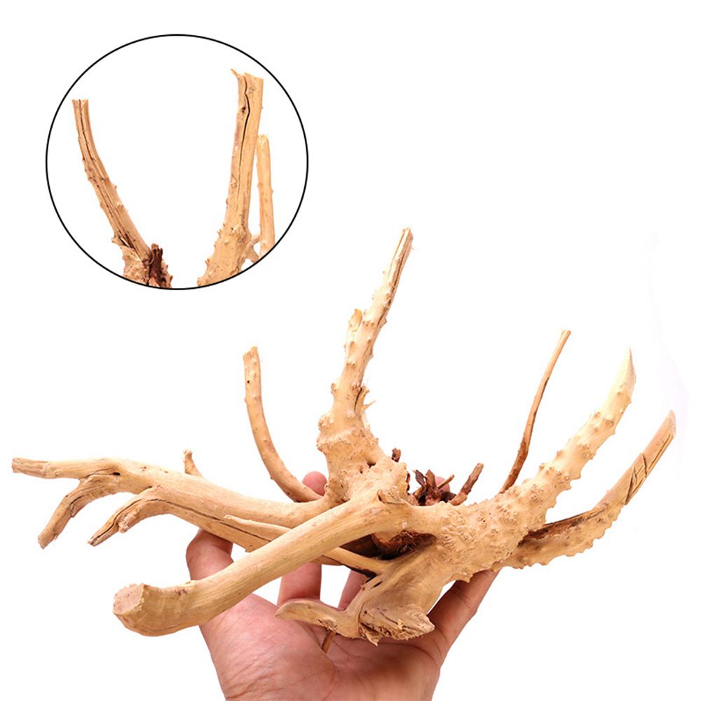 1 Pcs Wood Reptile Fish Tank O - đánh giá và giá Aquarium Planted Wood
