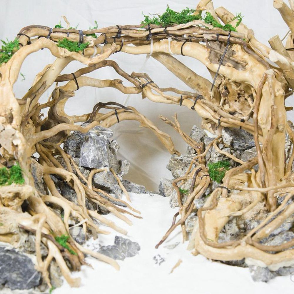 1 Pcs Wood Reptile Fish Tank O - đánh giá và giá Aquarium Planted Wood