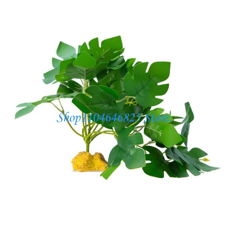 Bể cá Bò sát Rừng cỏ Dây Lá Te - đánh giá và giá Planted Aquarium Jungle