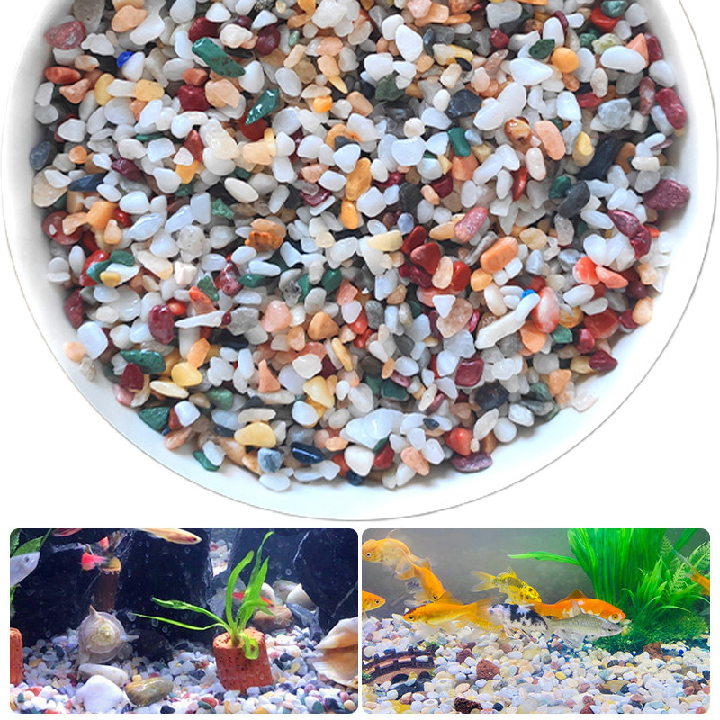 Natural Gravel Stone 200~1000g - đánh giá và giá Aquarium Plant Gravel