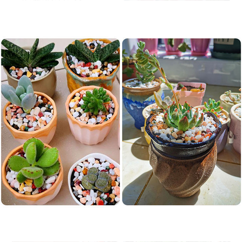 Natural Gravel Stone 200~1000g - đánh giá và giá Aquarium Plant Gravel