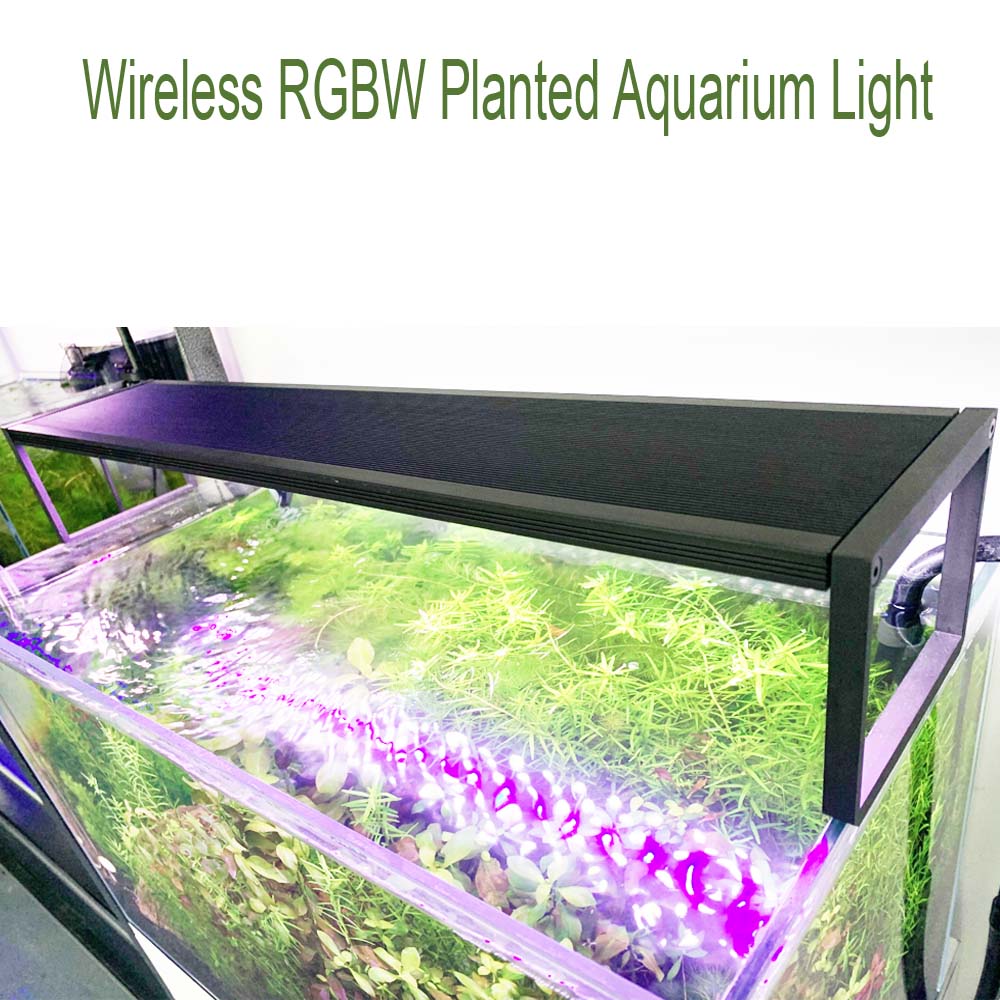 LED Aquarium Planted light Ext - đánh giá và giá Aquarium Plant Growth