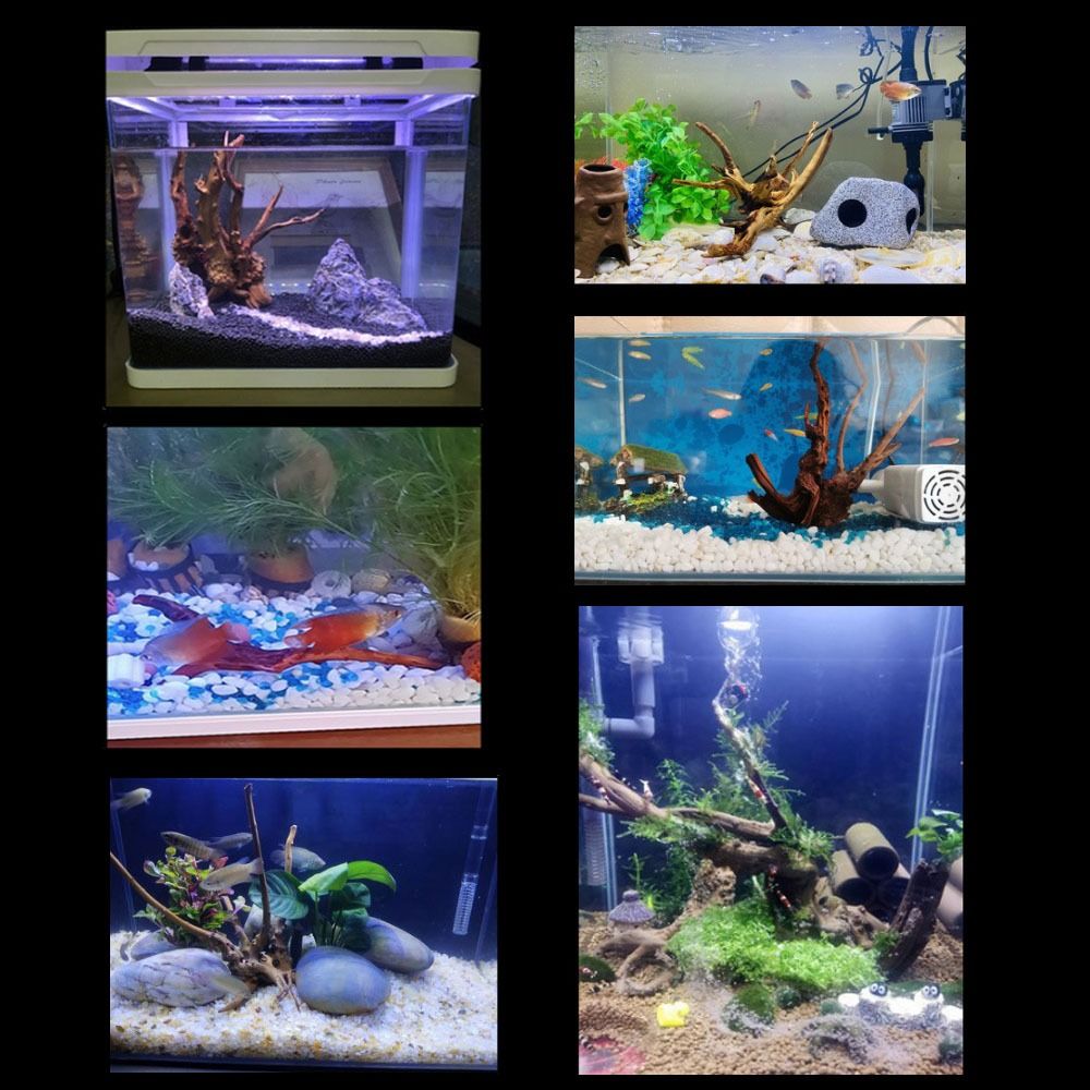 20-25CM Large Aquarium Driftwo - đánh giá và giá Aquarium Planted Wood