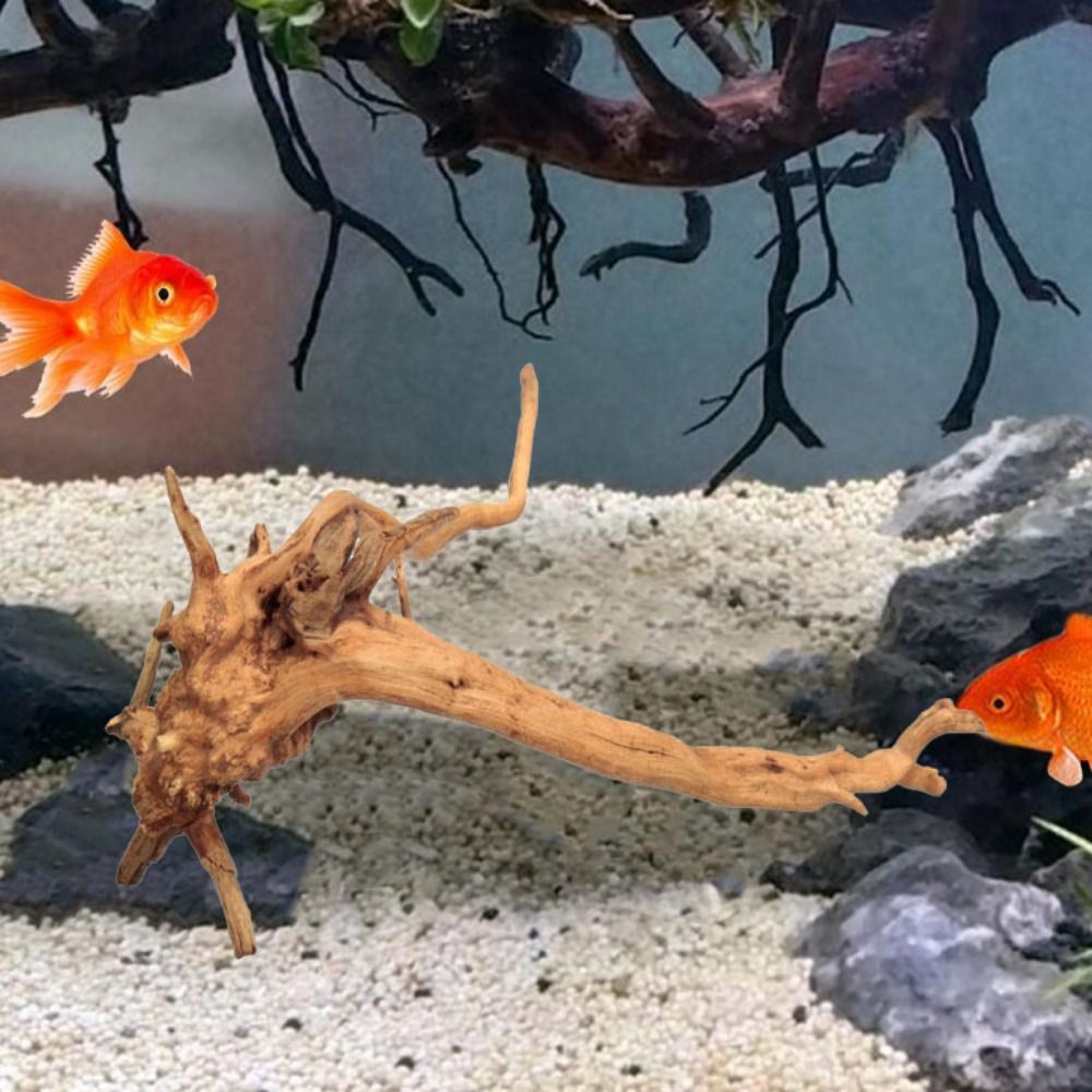 20-25CM Large Aquarium Driftwo - đánh giá và giá Aquarium Planted Wood
