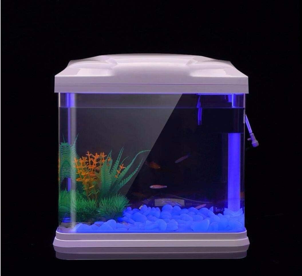 Fish Tank Rocks Glow Blue Pebb - đánh giá và giá Aquarium Plant Growth