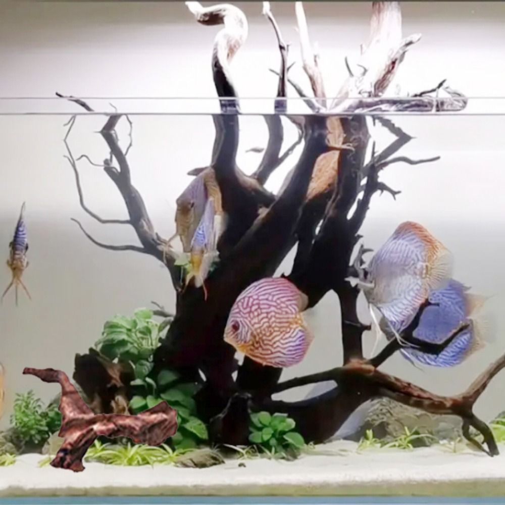 Creative Irregular Shape Coral - đánh giá và giá Aquarium Planted Wood