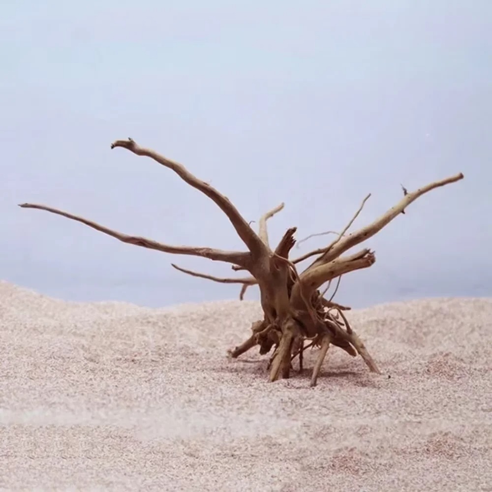 15-20CM Natural Driftwood Aqua - đánh giá và giá Aquarium Planted Wood