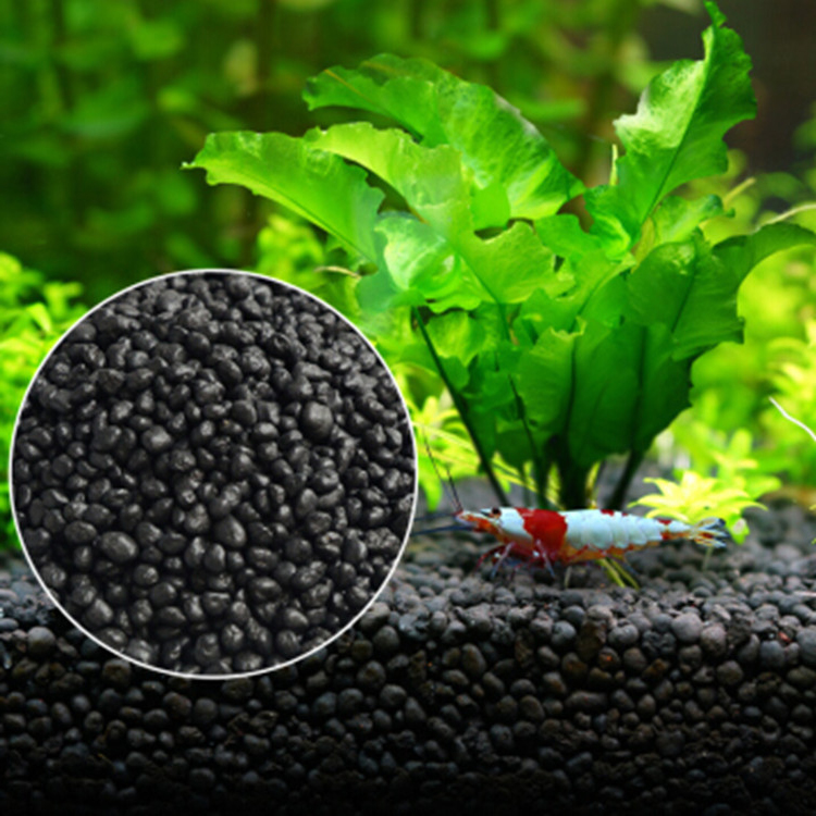 Bể Cá Cảnh Vật Có Hạt Đất Fish - đánh giá và giá Aquarium Plant Growth