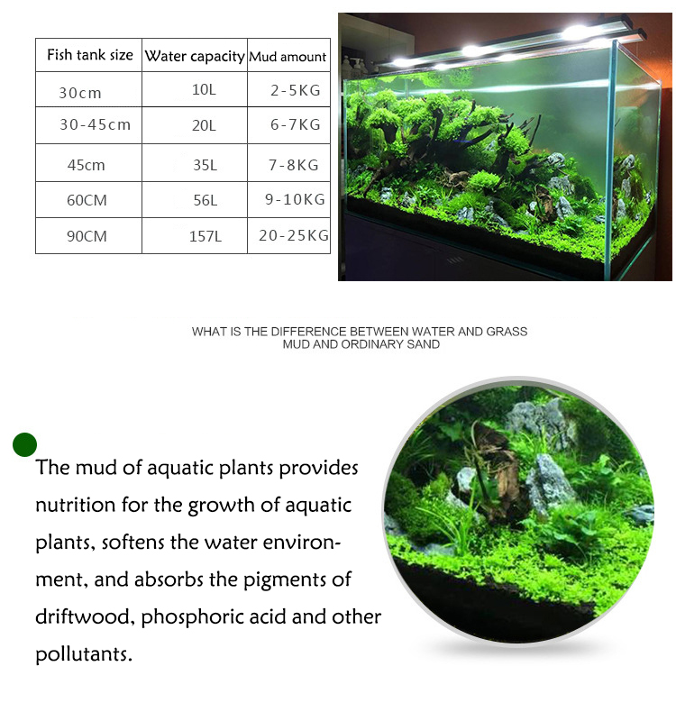 Bể Cá Cảnh Vật Có Hạt Đất Fish - đánh giá và giá Aquarium Plant Growth
