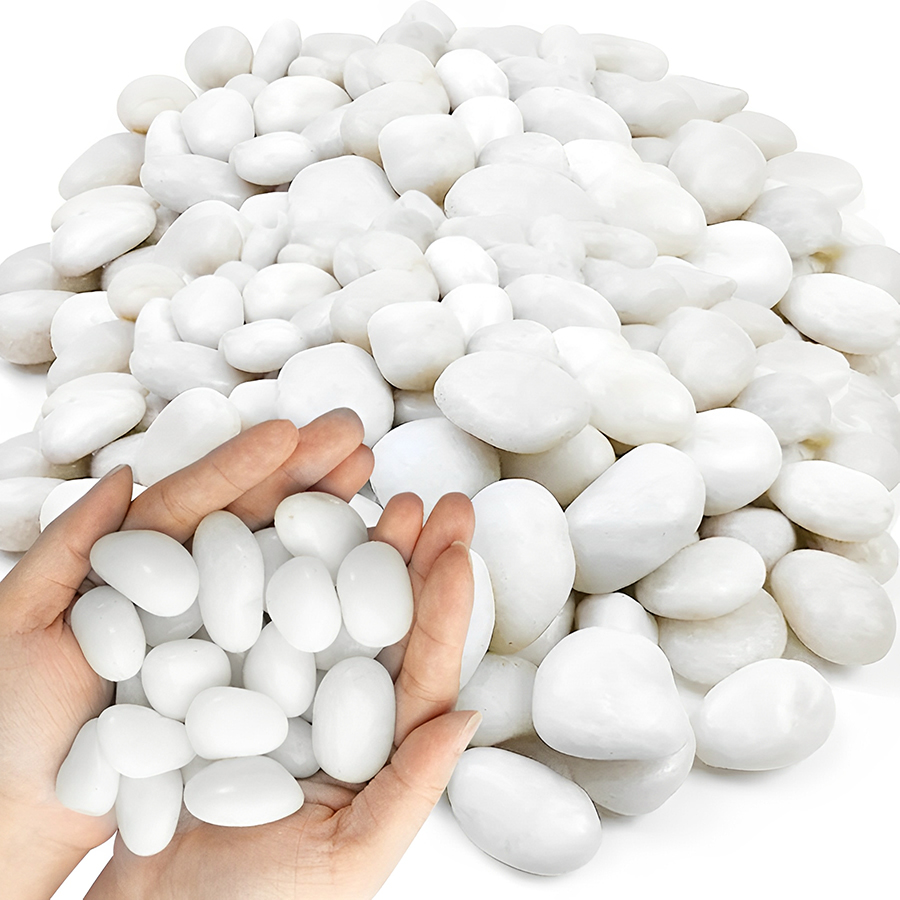1/2Lb White Polished Aquarium  - đánh giá và giá Aquarium Plant Gravel