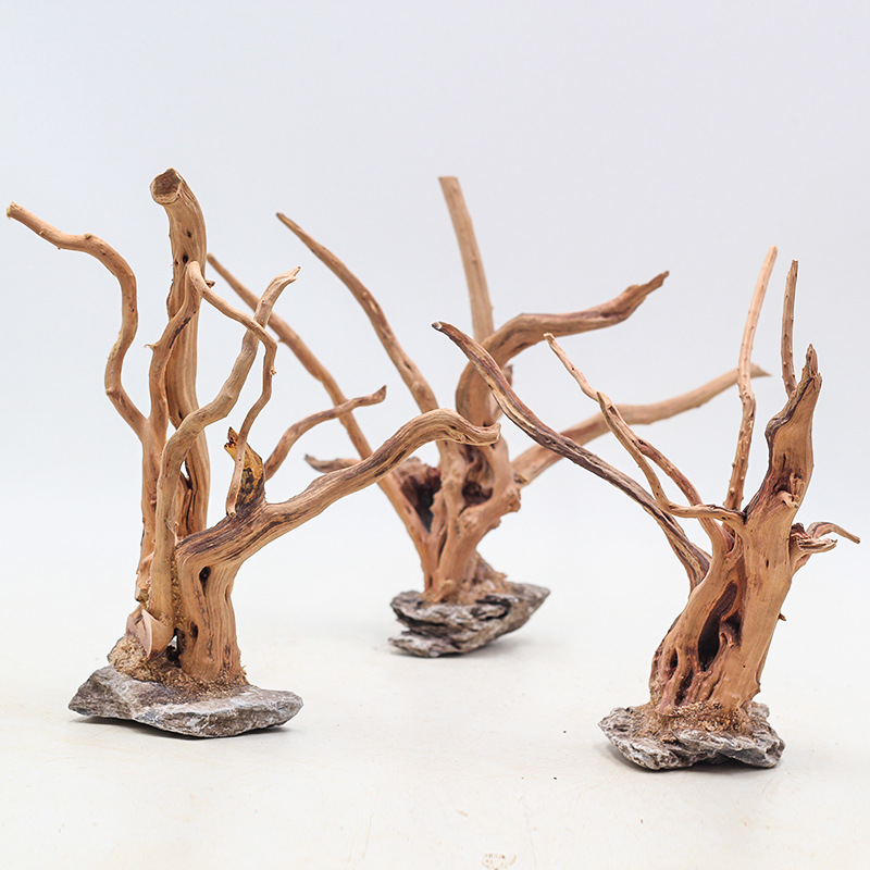 1 Bể Cá Cảnh Quan Gỗ Đồ Trang  - đánh giá và giá Aquarium Planted Wood