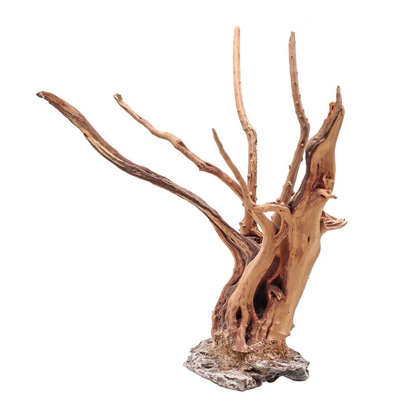 1 Bể Cá Cảnh Quan Gỗ Đồ Trang  - đánh giá và giá Aquarium Planted Wood