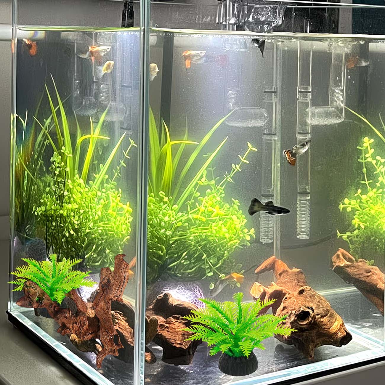 5-10CM Natural Sinkable Driftw - đánh giá và giá Aquarium Planted Wood